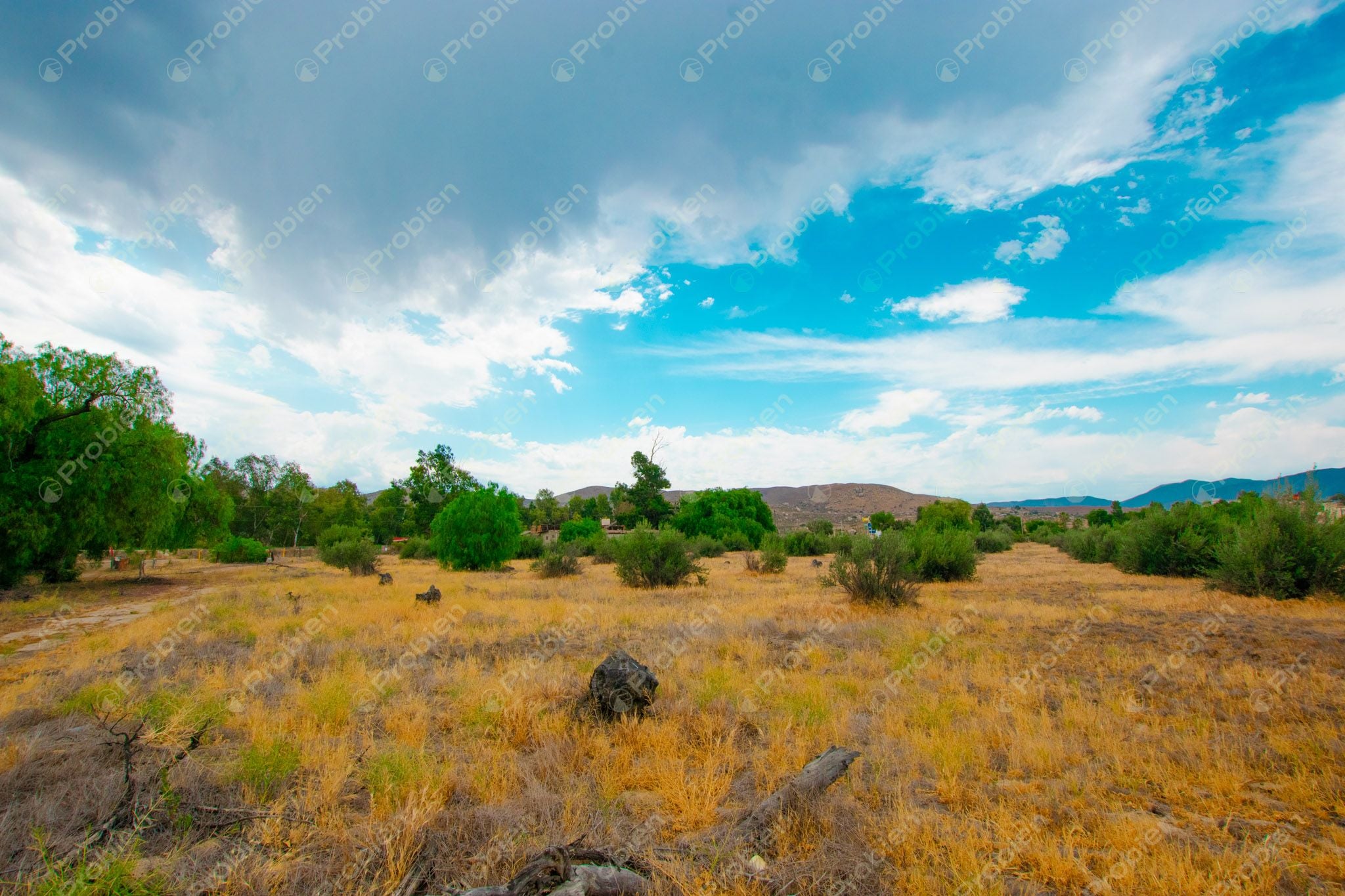 Terreno en Venta en Valle de las Palmas, Tecate – A Pie de Carretera con Potencial Industrial y Habitacional - Foto 8 de 13