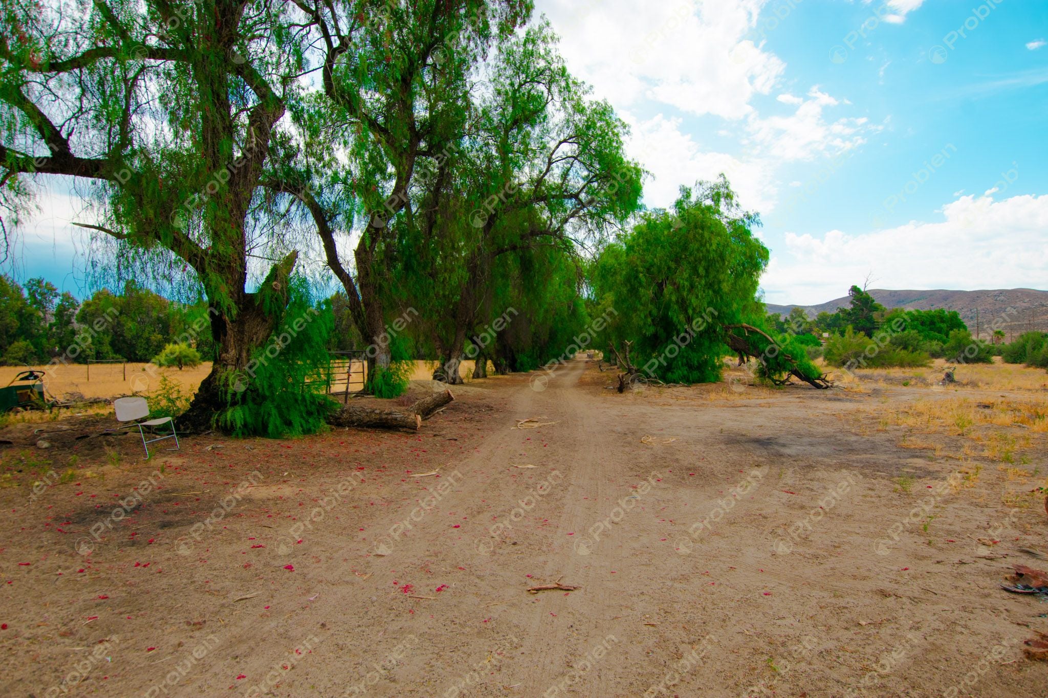 Terreno en Venta en Valle de las Palmas, Tecate – A Pie de Carretera con Potencial Industrial y Habitacional - Foto 9 de 13