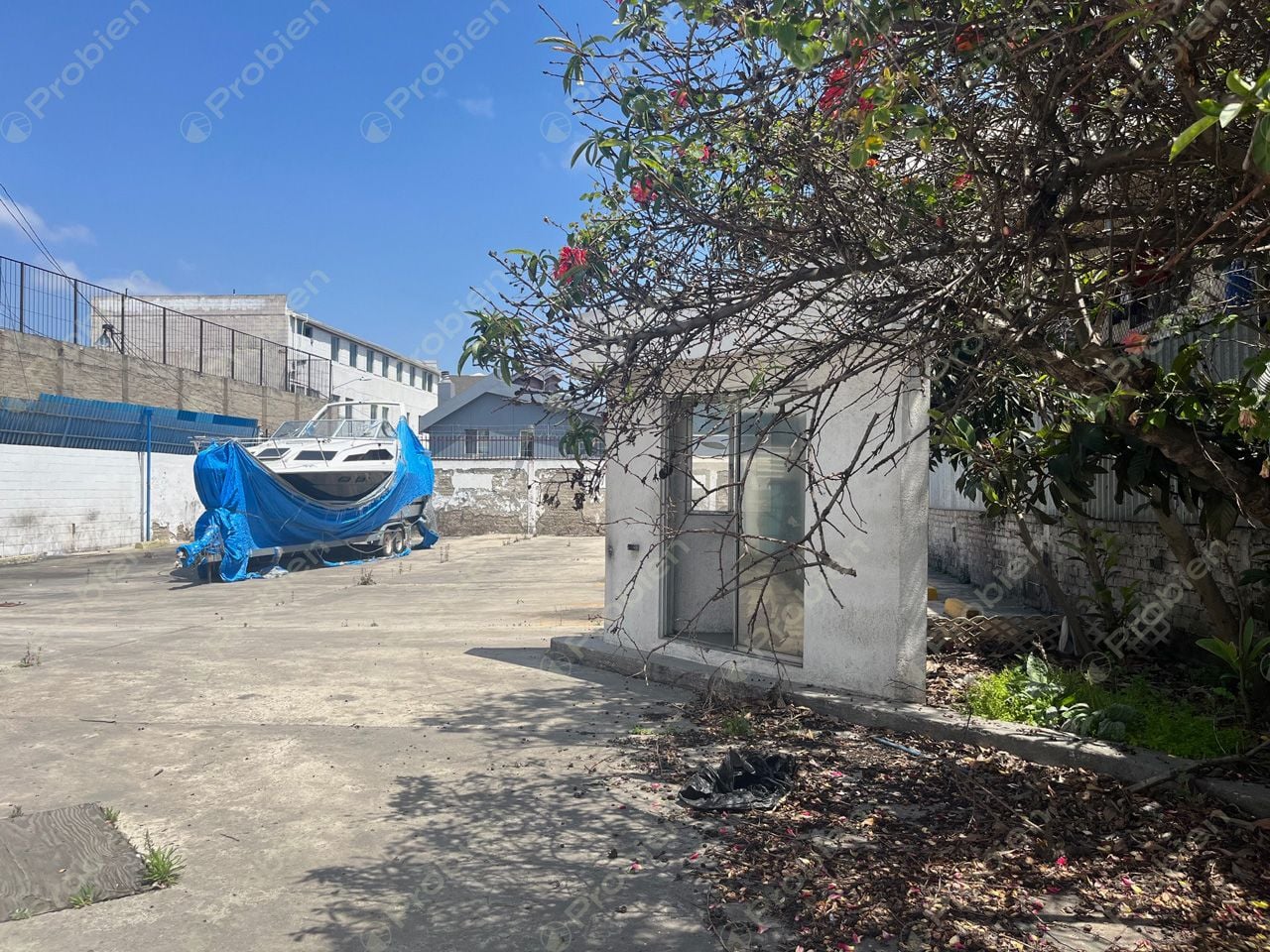 Terreno en venta - Zona Centro sobre Av. Negrete - Foto 6 de 8