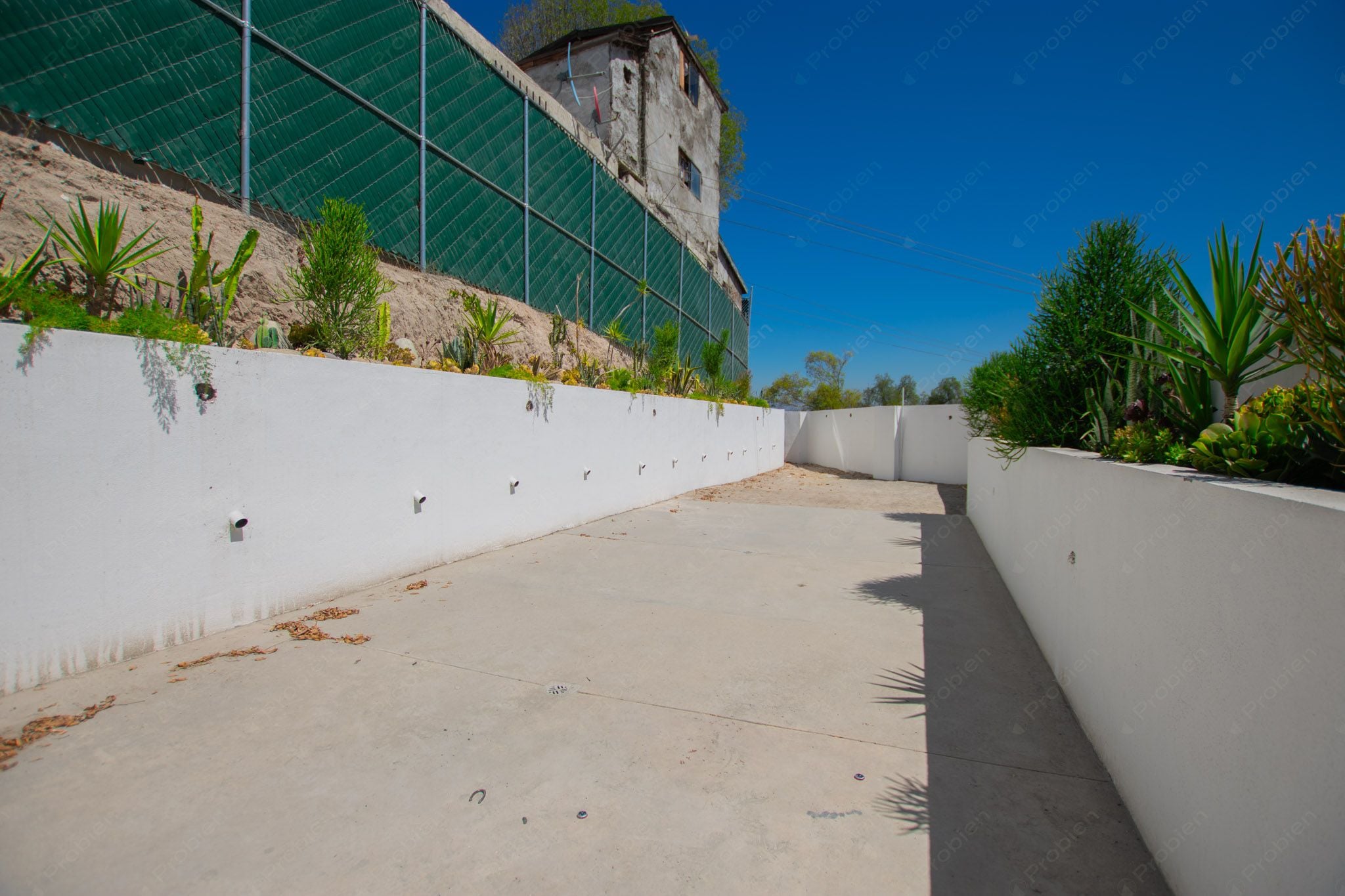 Casas en Venta en Pino Real – 3 Recámaras, 2 Niveles y Excelente Ubicación - Foto 6 de 19