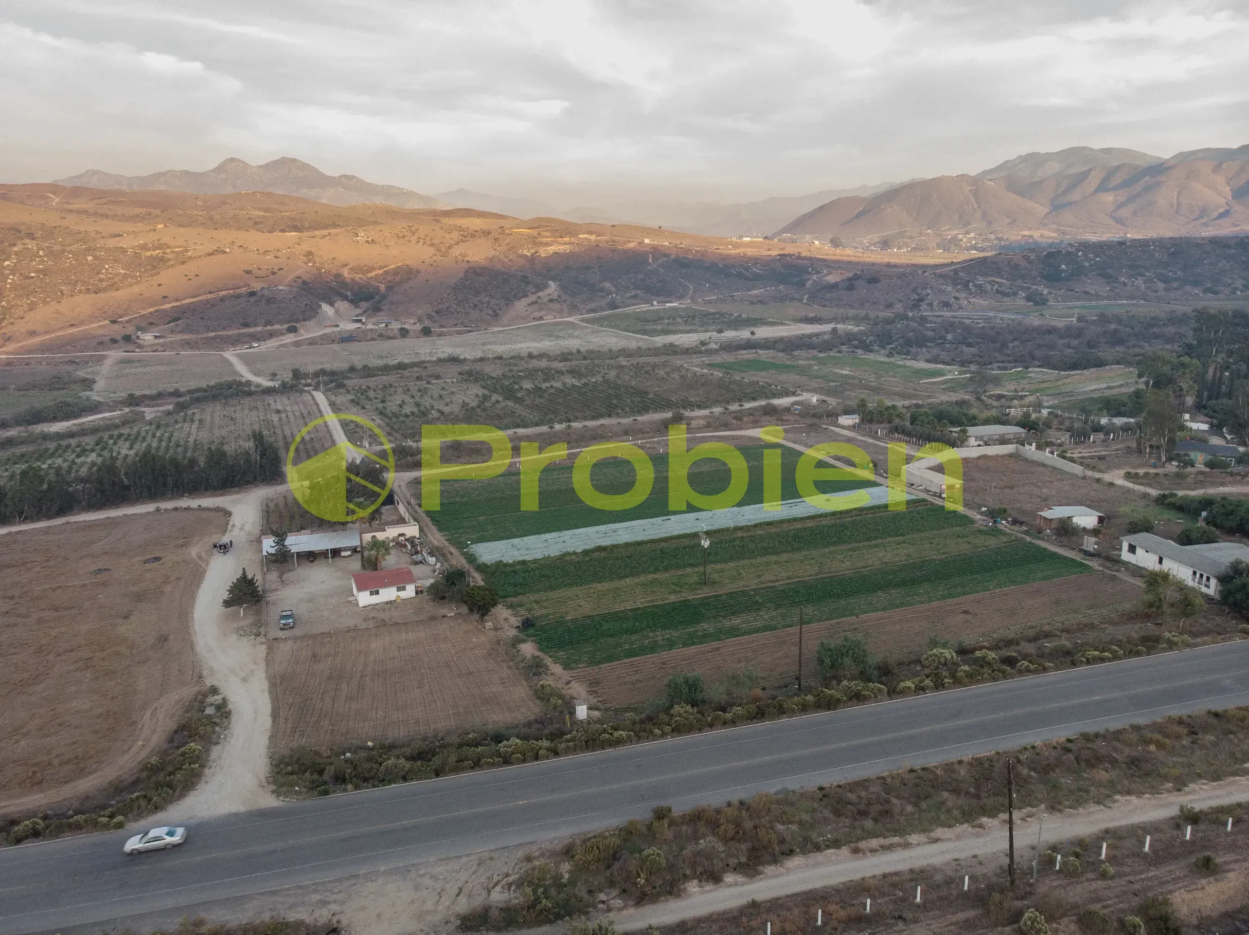 Viñedo Avilas en Venta - Ensenada - Foto 1 de 17