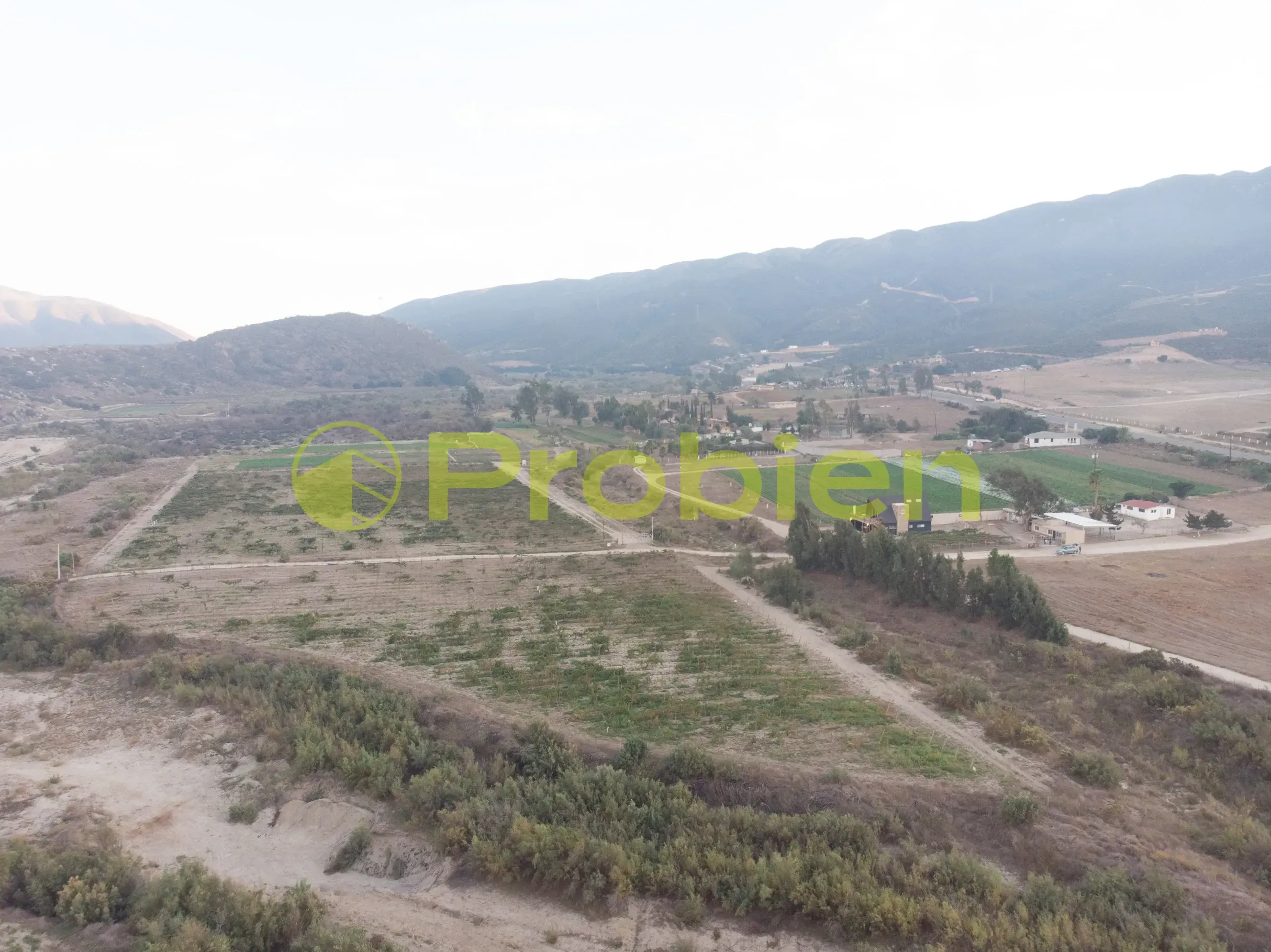 Viñedo Avilas en Venta - Ensenada - Foto 5 de 17