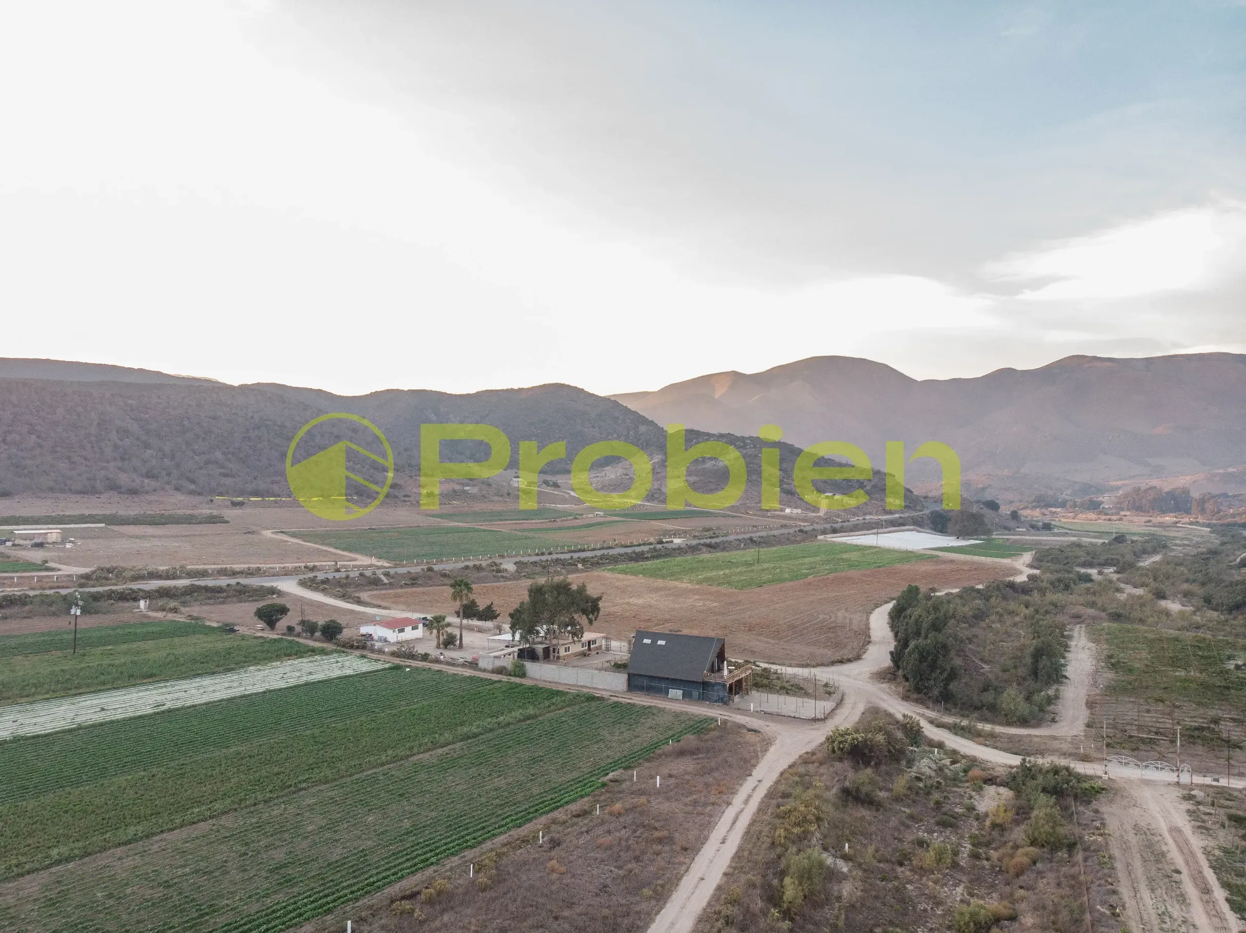 Viñedo Avilas en Venta - Ensenada - Foto 8 de 17
