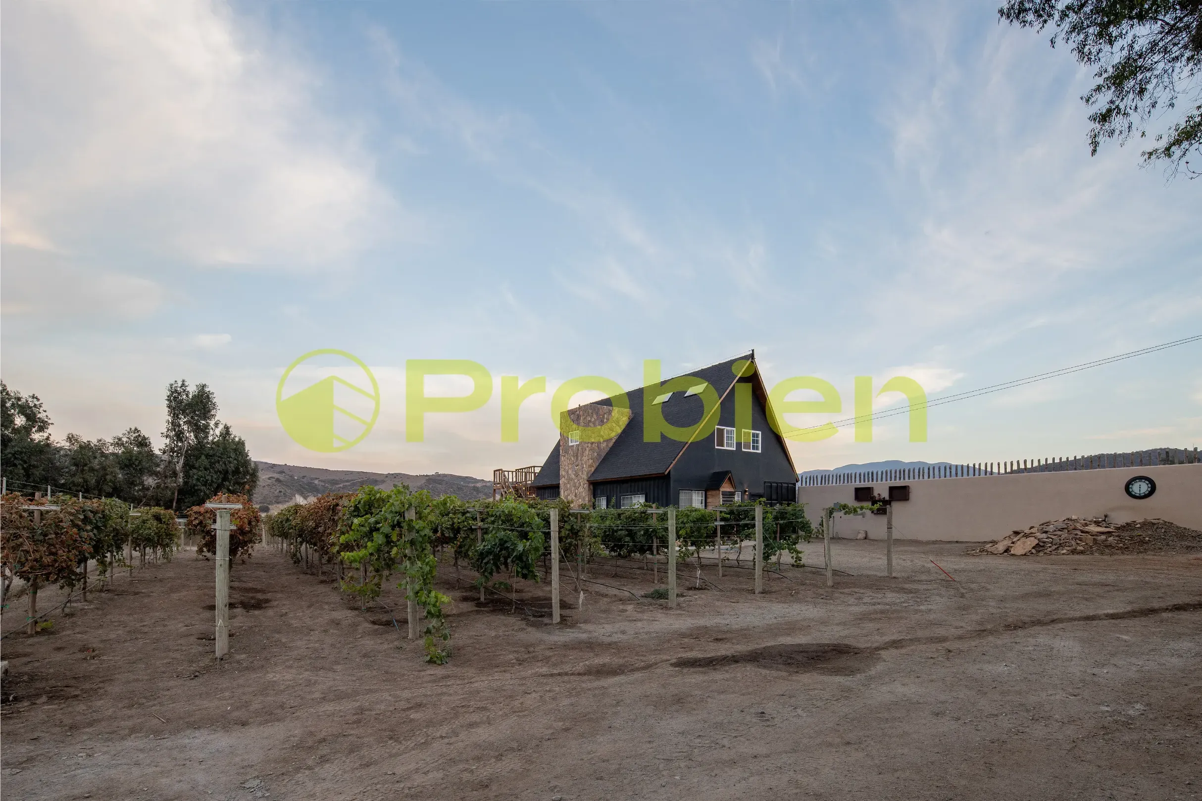 Viñedo Avilas en Venta - Ensenada - Foto 9 de 17