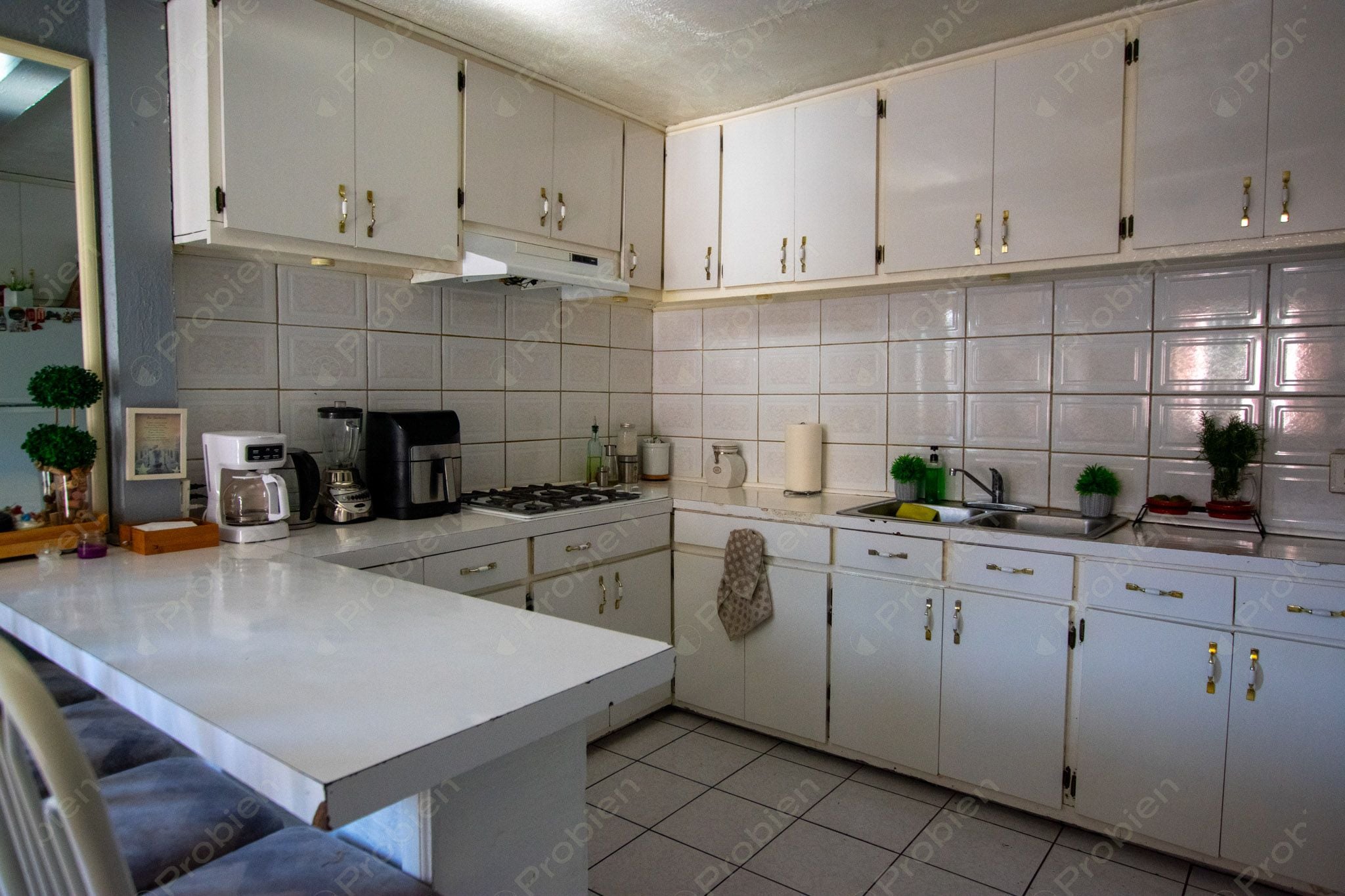 Terreno con Construcción en Venta en Col. Los Pinos de Narez – 392 m² con Gran Potencial - Foto 11 de 16