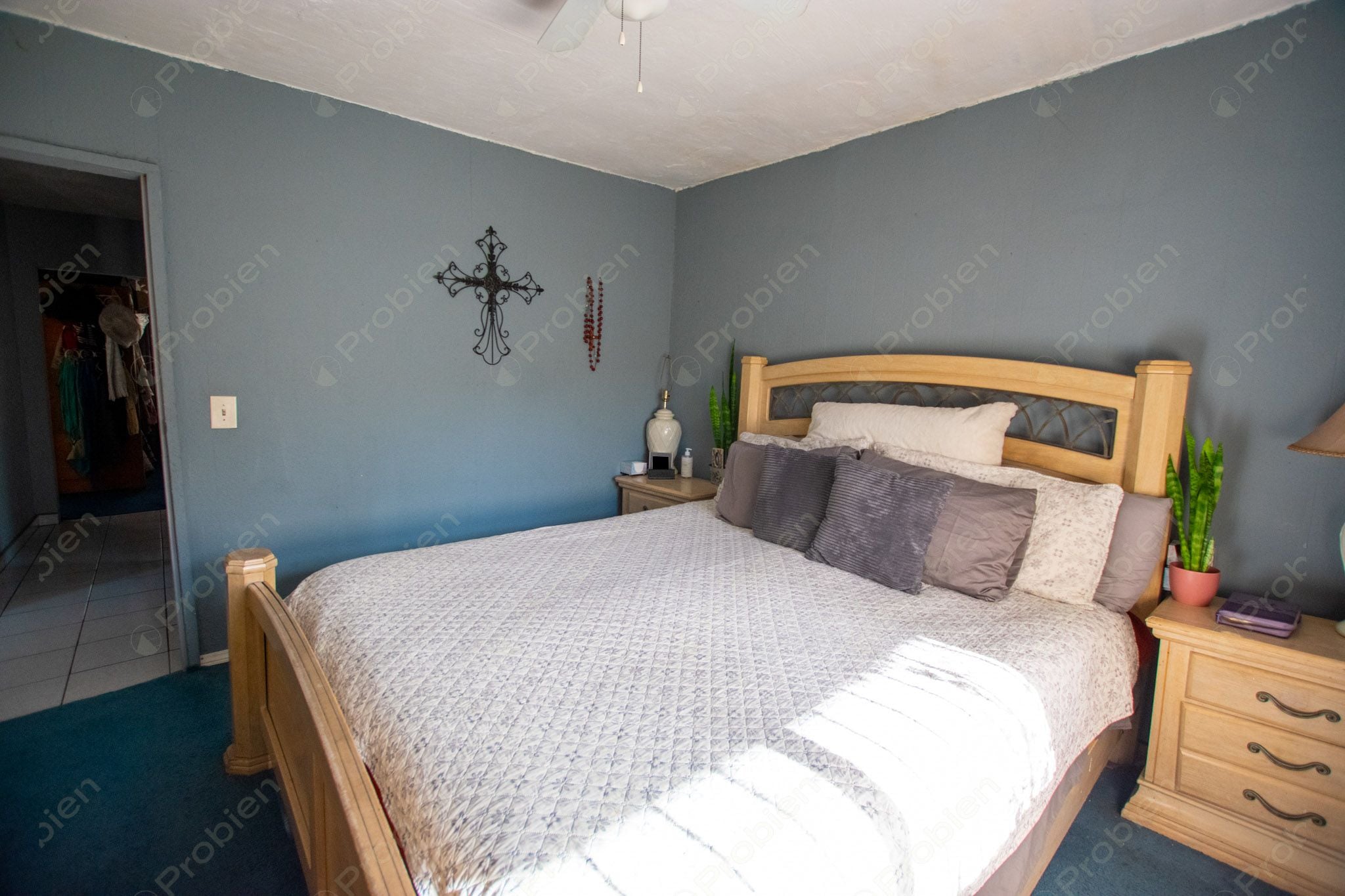 Terreno con Construcción en Venta en Col. Los Pinos de Narez – 392 m² con Gran Potencial - Foto 14 de 16