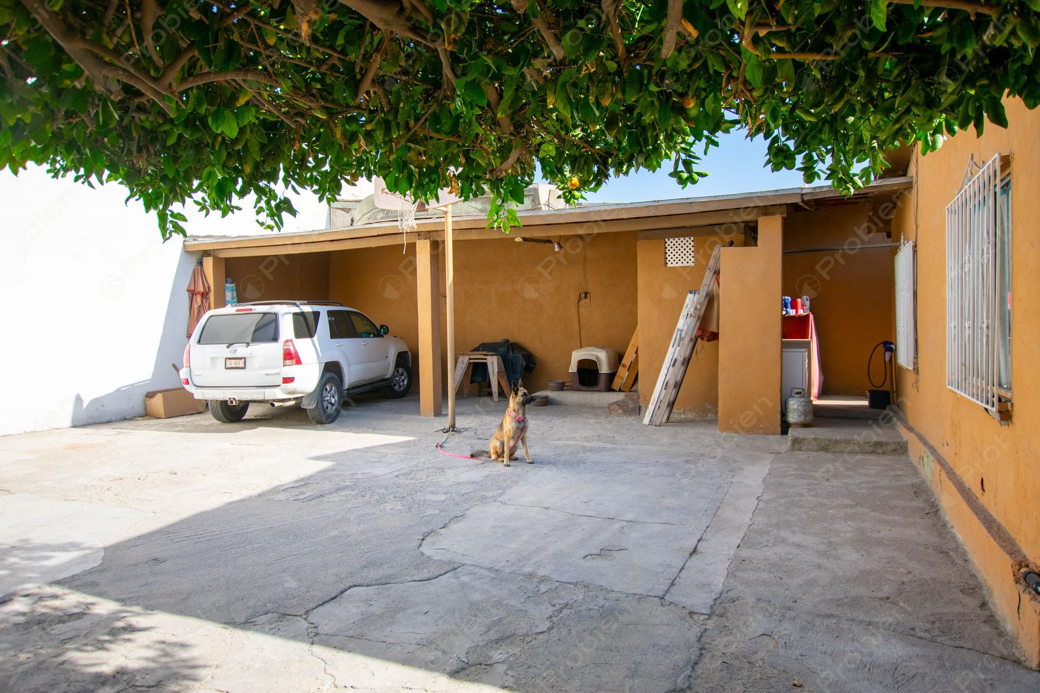 Terreno con Construcción en Venta en Col. Los Pinos de Narez – 392 m² con Gran Potencial - Foto 9 de 16