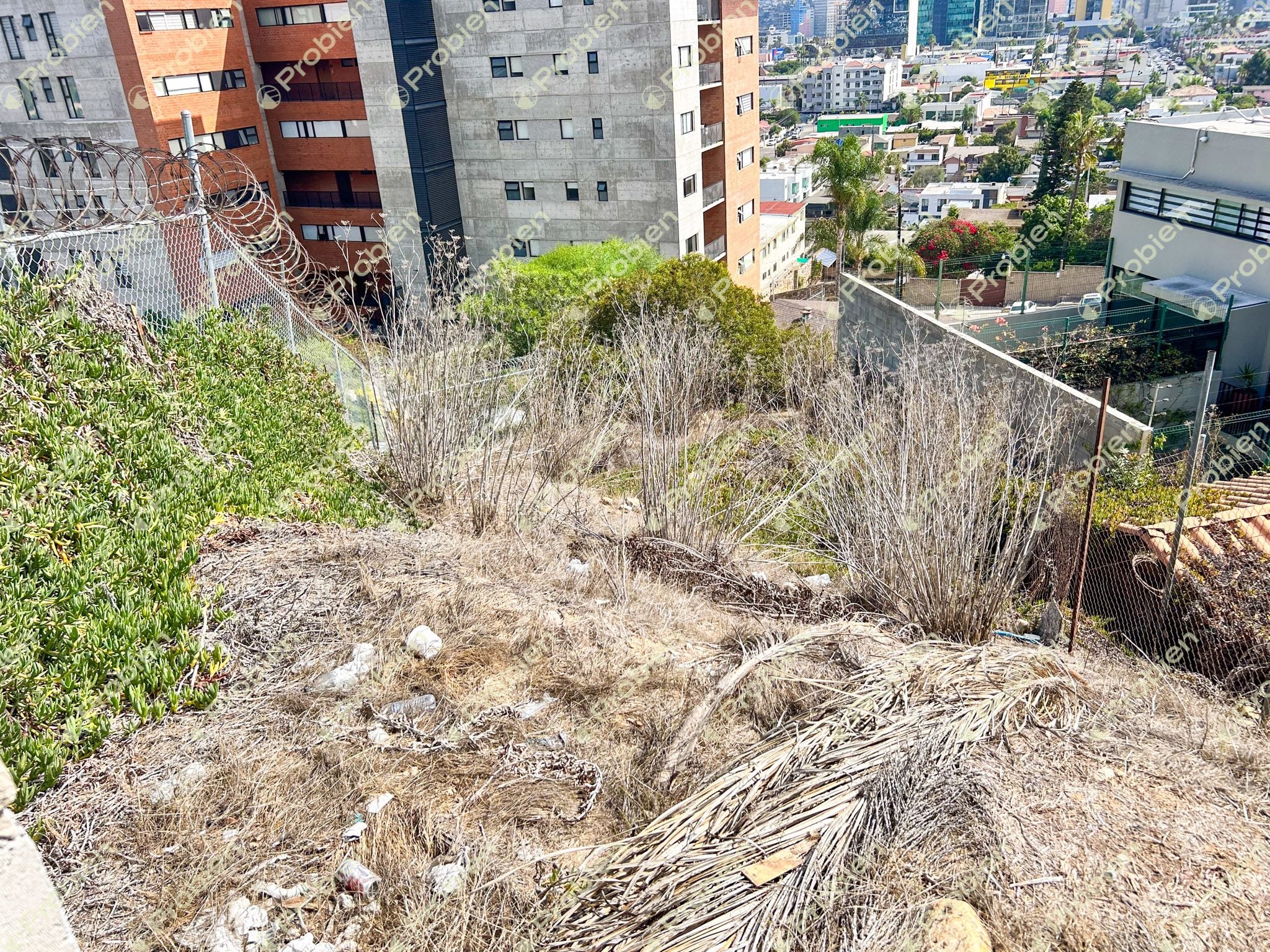 Terreno en Venta en Colonia Cacho – 245 m² Ideal para Residencia o Torre de Departamentos - Foto 2 de 4