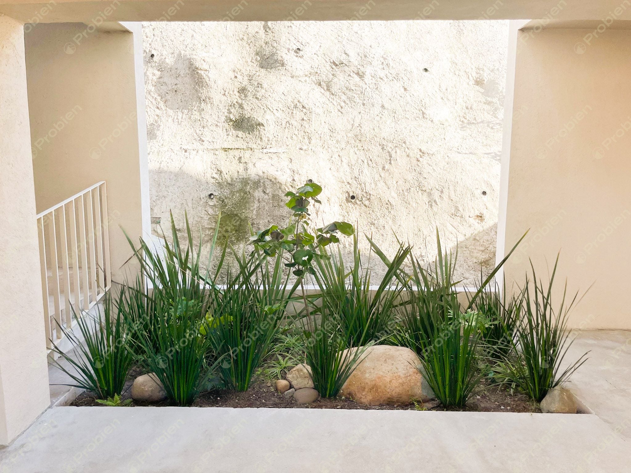 Casas nuevas en Renta - Colonia 20 de Noviembre - Foto 12 de 18