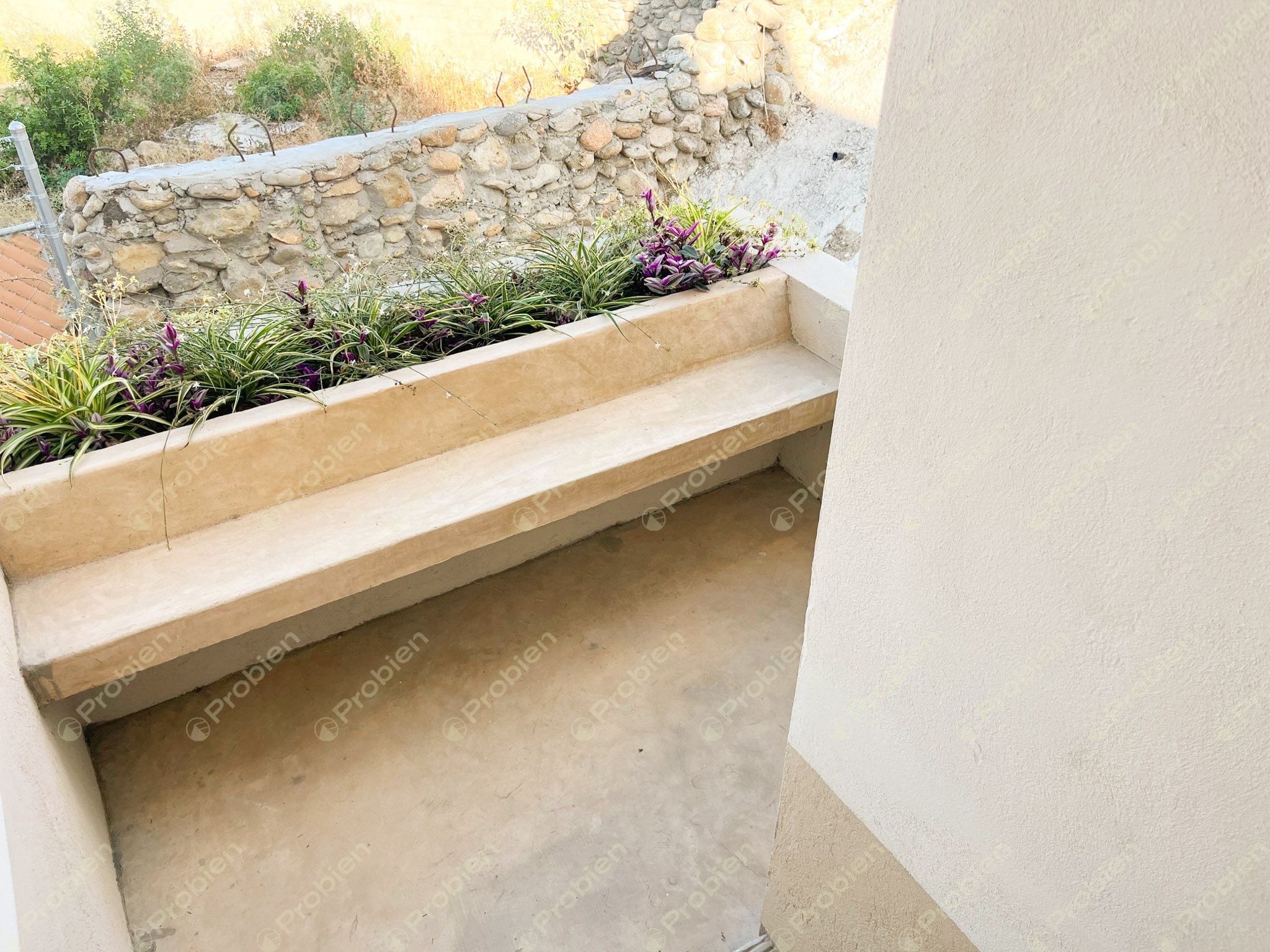 Casas nuevas en Renta - Colonia 20 de Noviembre - Foto 18 de 18