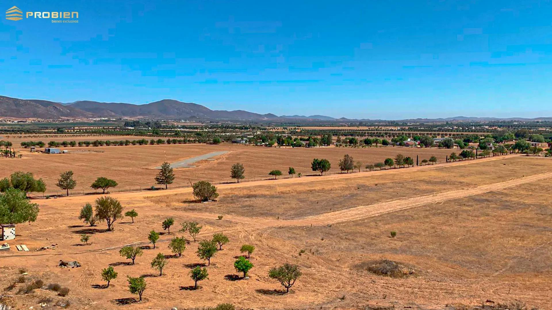 Terreno para desarrollo en Venta - Valle de Guadalupe