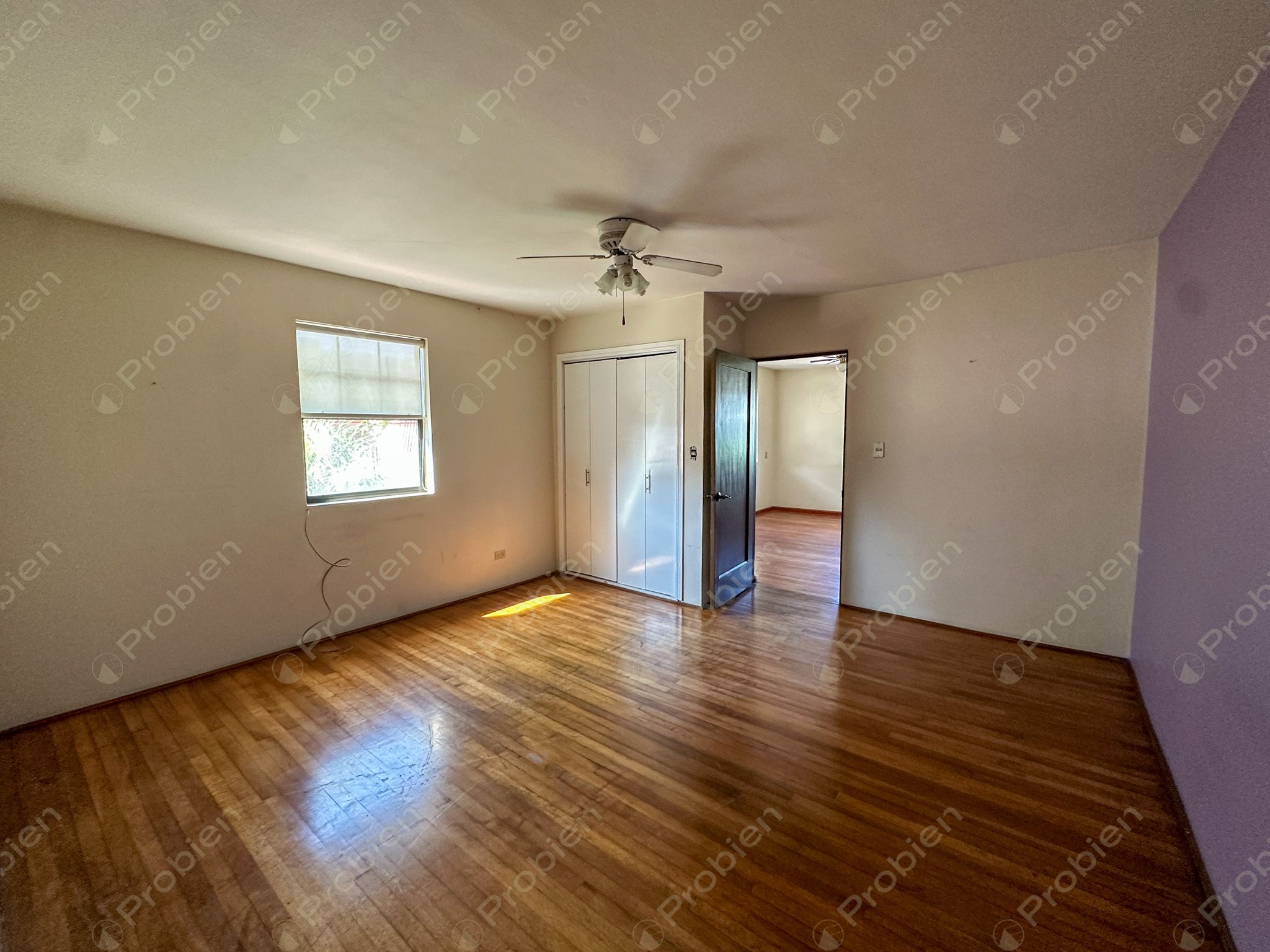 Local comercial en renta en Colonia Gabilondo ideal para oficinas administrativas en Tijuana - Foto 8 de 12