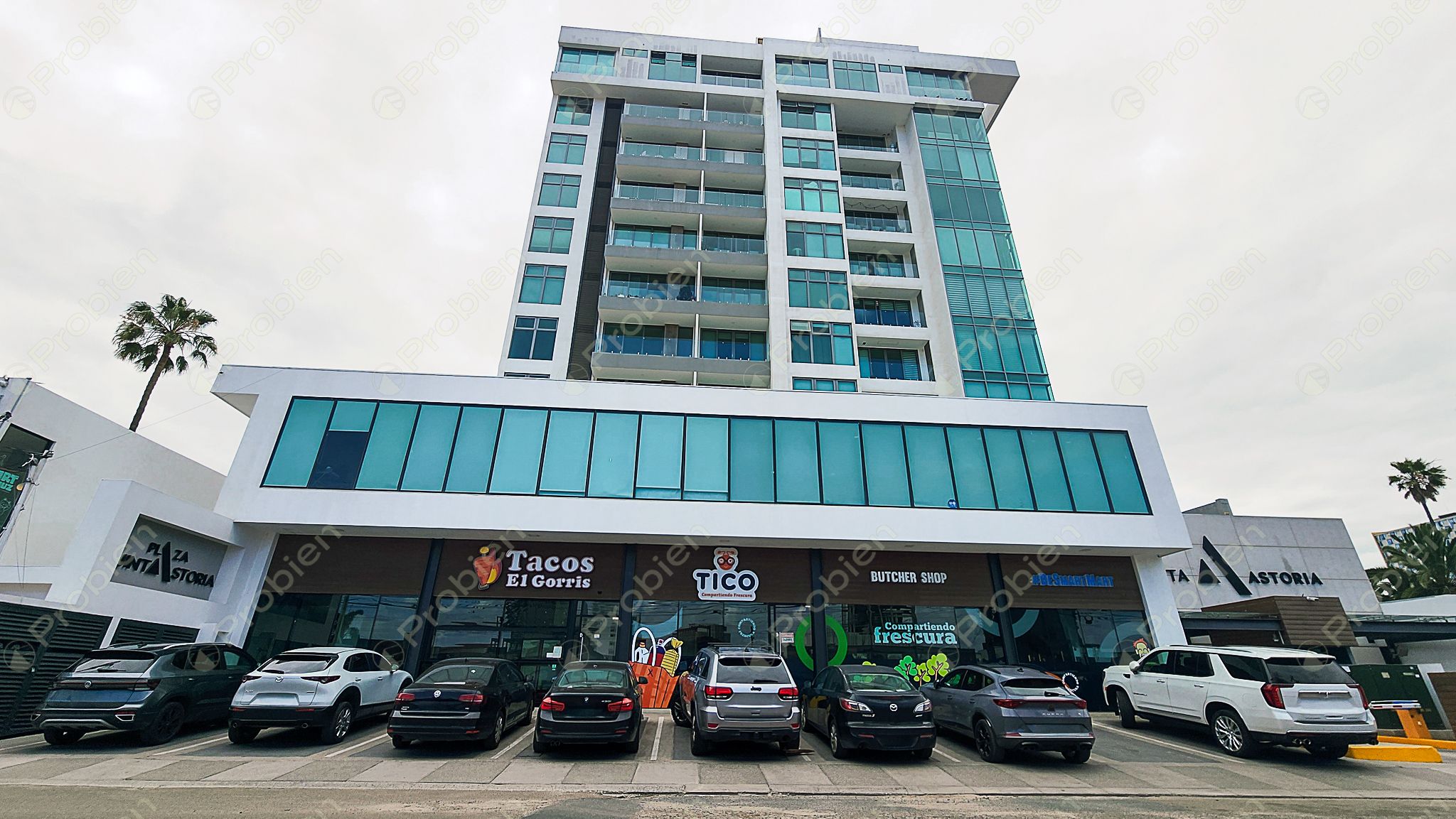 Locales comerciales de 55 m² en renta sobre Avenida Los Olivos en Quinta Astoria Zona Dorada Tijuana - Foto 15 de 15