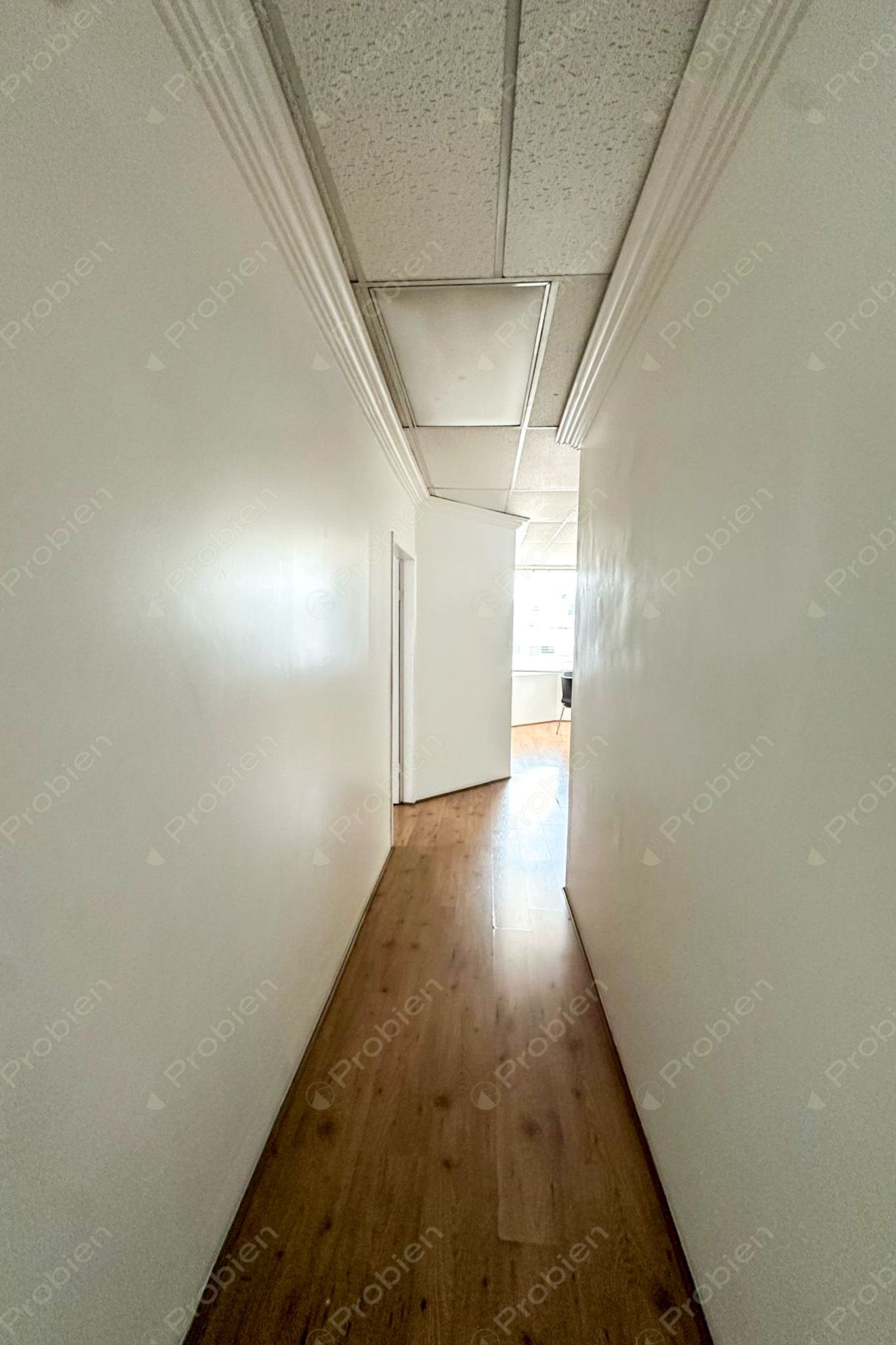 Oficina penthouse en Renta en Zona Río - Ubicación Estratégica cerca de Paseo de los Héroes con vista a la ciudad - Foto 17 de 24