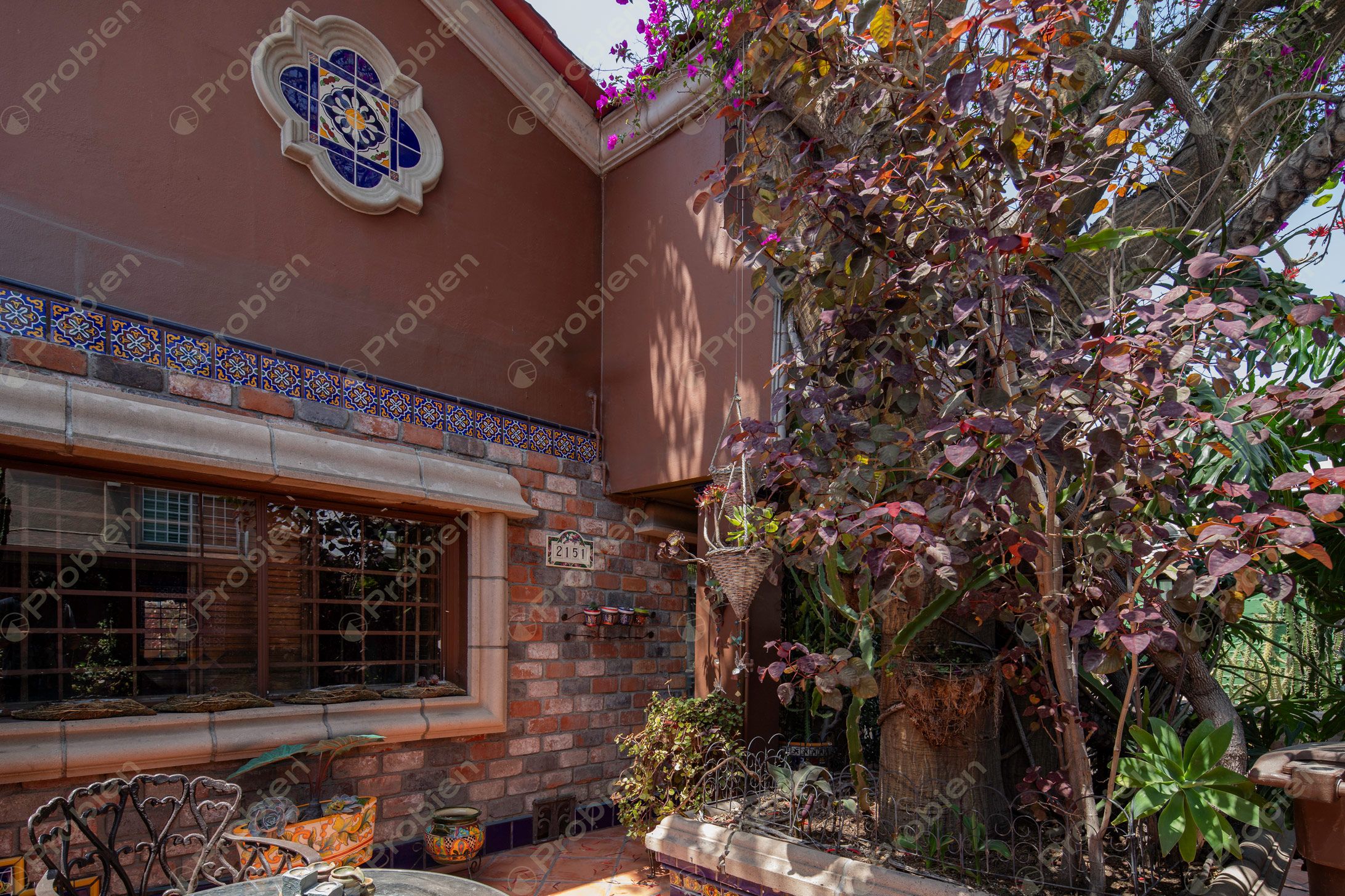 Casa en Renta - Colonia Marron  - Foto 12 de 12