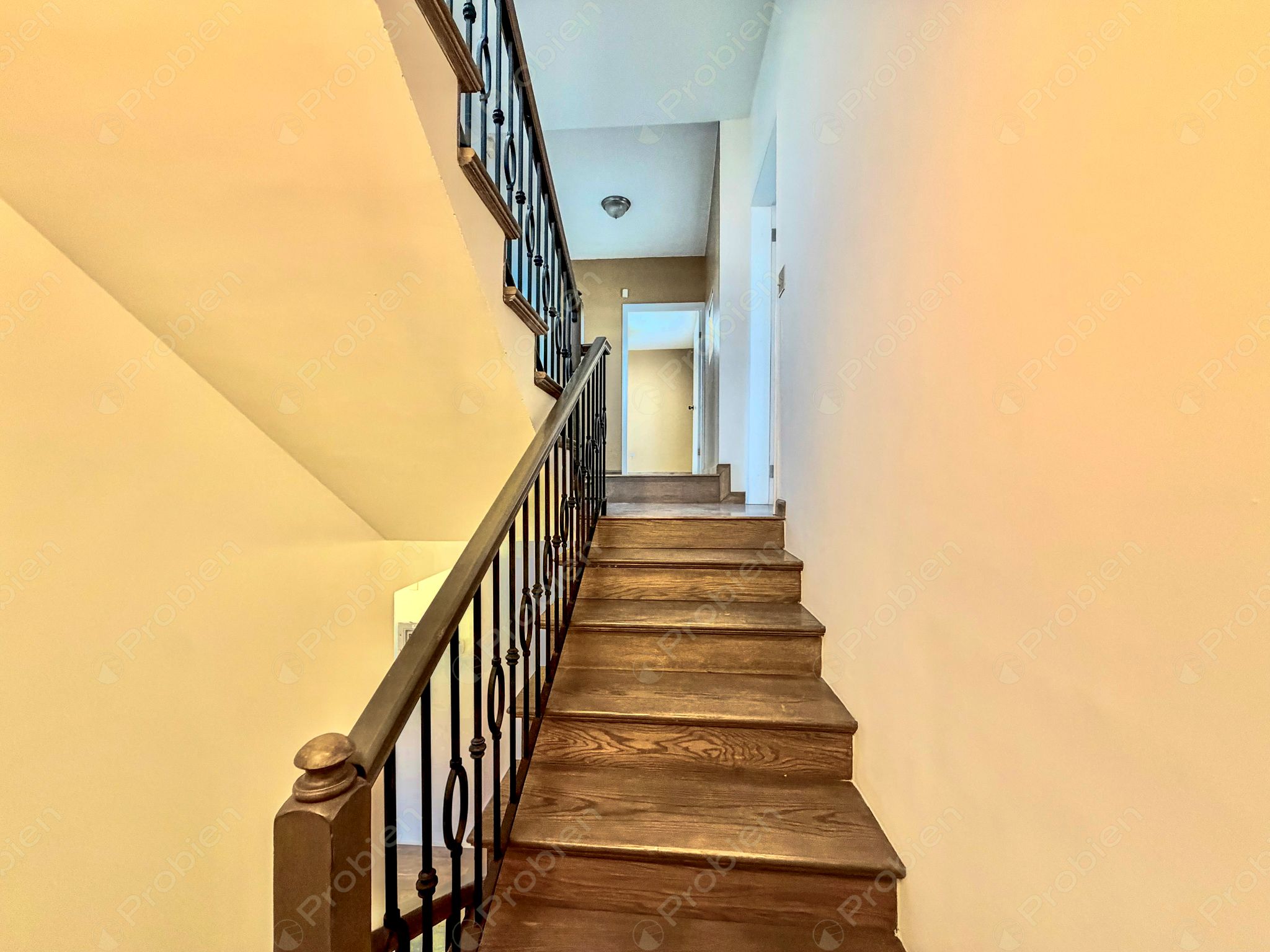 Casa en renta en Fraccionamiento Monterrey con roof top y amplios espacios - Foto 16 de 31