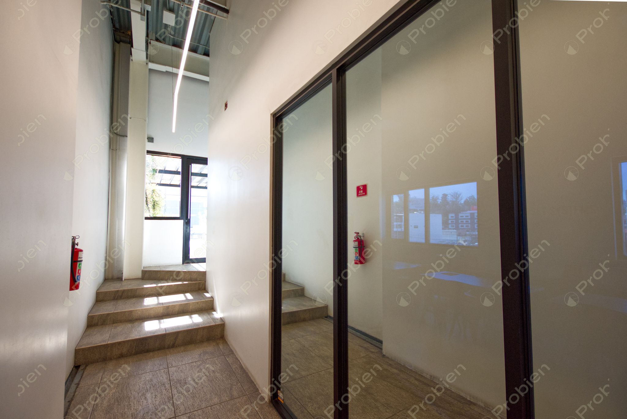 Oficinas en Renta - En Zona Centro - Foto 17 de 23